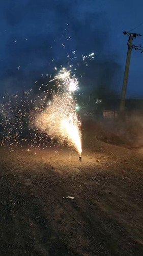 xJNcpLzVfVa LP8P.jpg