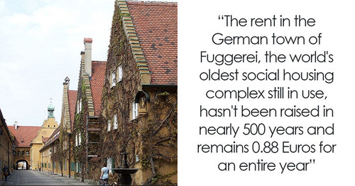 curious facts now you know coverimage.jpg