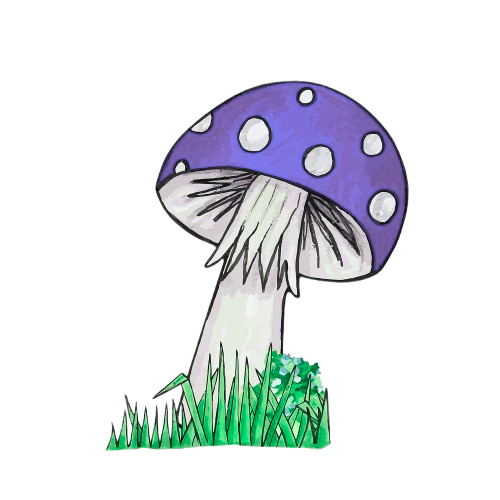 Untitled design (9).png