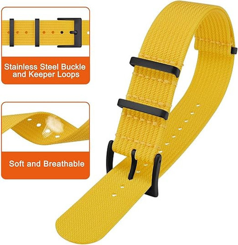 71QCWiZ7u1L. AC SX522 .jpg