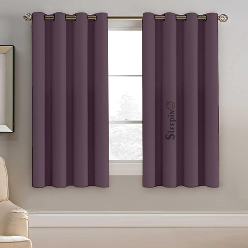 Plum (3).jpg