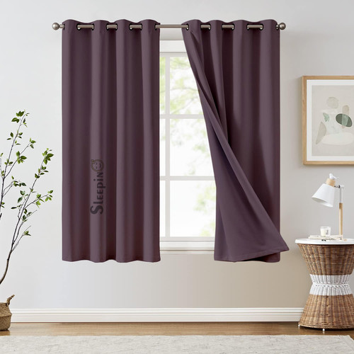 Plum (5).jpg
