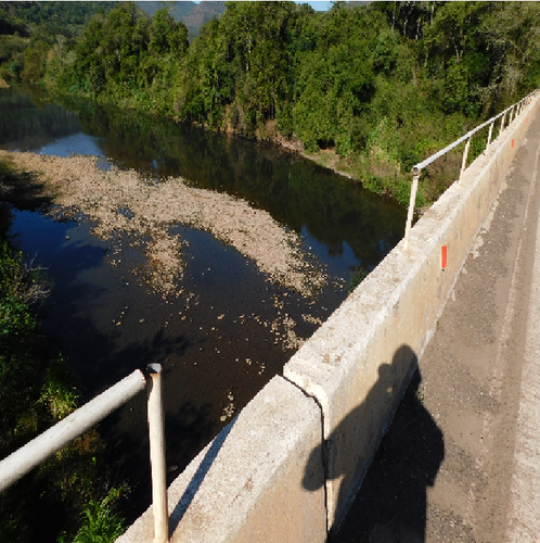 RS 50610002394202414 5.png