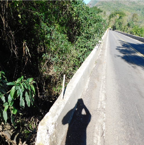 RS 50610002394202414 3.png