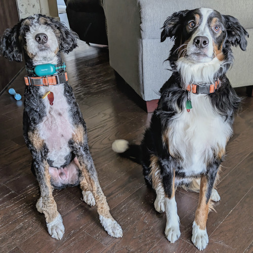 PXL 20250314 165510220~2.jpg