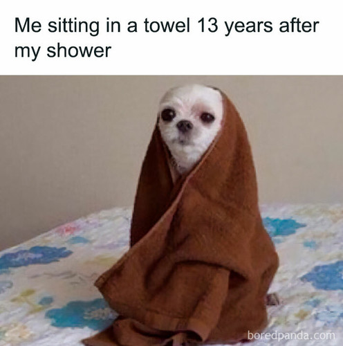funny relatable female memes 34 64e5ada6f10ce 700.jpg
