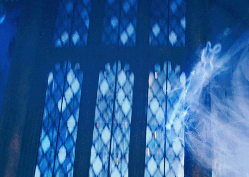 tumblr 58af8b17a4db9caedff3b0aad0c28cb1 a2edea95 540.gif