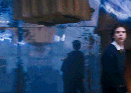 tumblr 5e1e065504f5ed2f9fd85ae64da26d84 17b75282 540.gif