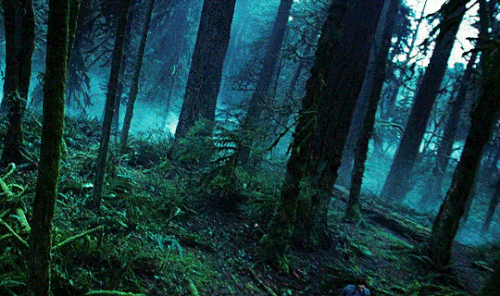 tumblr 58bfdd2c31af4767a96766036ae71684 1060aae2 540.gif
