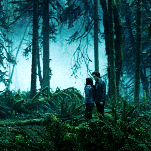 tumblr 59e0dd0c78152a32981f07b8b8ff6c6b 79f85f34 540.gif