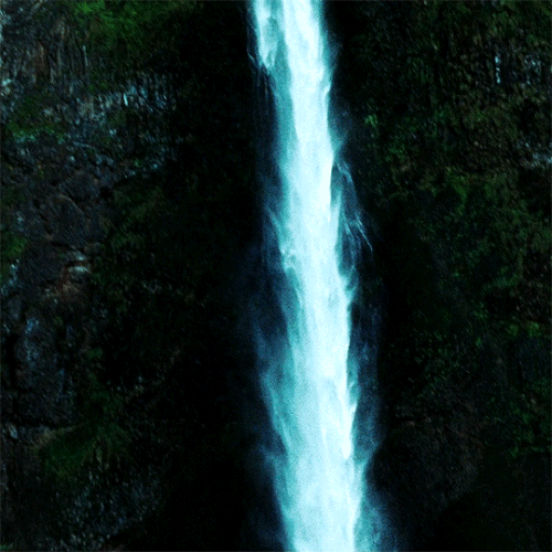 tumblr fcb85bd1aec30383e359b7b59f48bd43 3237b7c6 540.gif