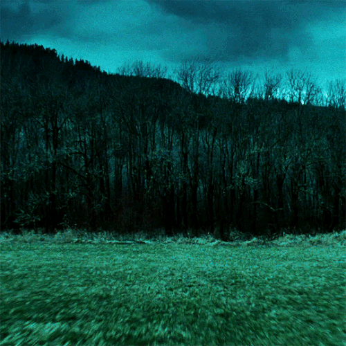 tumblr 9af38797226875ed579ab47679022f3a 7ff46e02 540.gif