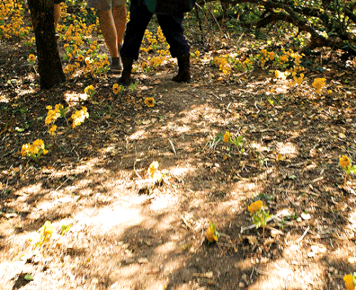 tumblr 83543d30712916fe982bb41f3dae9587 10e5fdc7 540.gif