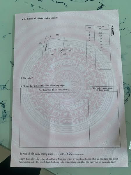 501357925 1053829983478443 8564283807238127781 n.jpg