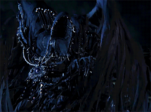 tumblr 69db9b48168177ffa1bd0003275236b3 44570eb1 540.gif