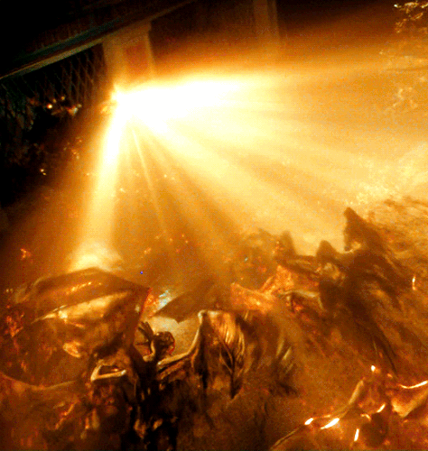 tumblr 5673e5d2f9c0cb2eacf644322adf9c2f 72e621d5 540.gif