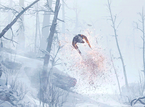 tumblr c5181c5600001b0740ecf51c58cebb56 50468dc4 540.gif
