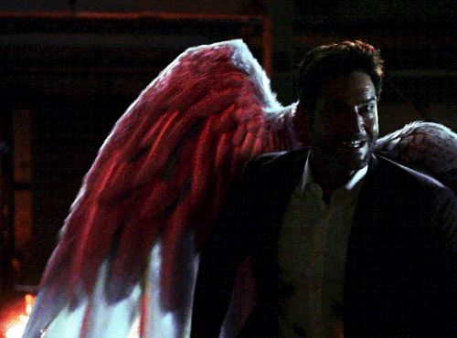 tumblr a817d85fe6d4f411a7da78fa03adfba9 4dbfb3b5 540.gif