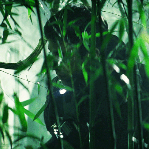 tumblr e44a365639f9aed8b9969b2ec4b4bb36 ef7400a6 540.gif