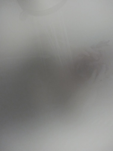 IMG 20250101 153513313