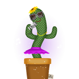 bong 1 dance