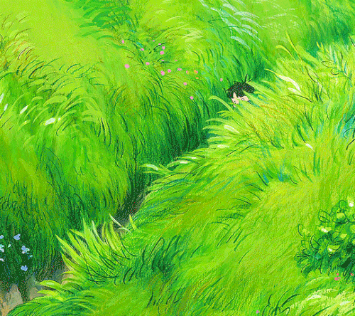 tumblr 56720cc3f1b010096d335b41171b0326 221bd84c 1280.gif