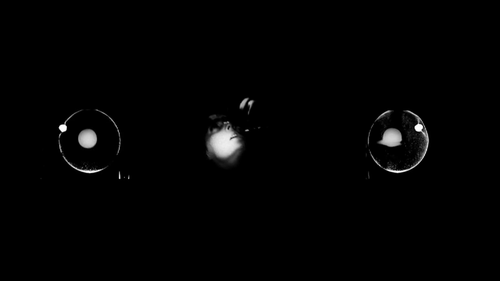 vlcsnap 2025 05 29 12h28m47s014.png