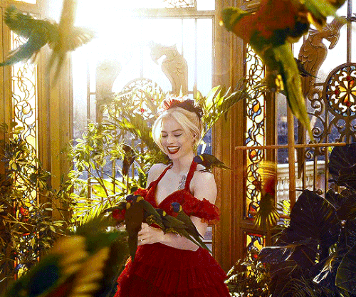 tumblr c1afc943149d05956f6ce00fb5a46df8 f2bff132 540.gif
