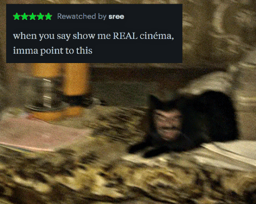 tumblr 6de95e7293d46b60b46091ebe858daa6 696baf62 540.gif