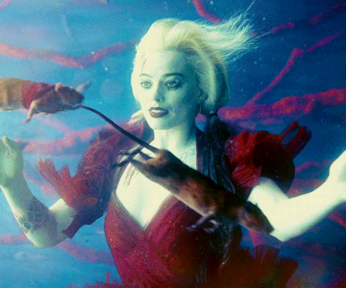 tumblr aaba8d5c41de0f1b374770e8f5ae4ef5 ebc05044 540.gif