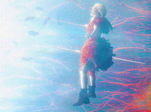 tumblr 0de403bf2be050d1f556b54e648e7cfe 559677f6 540.gif