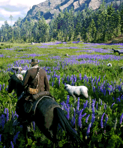 tumblr beba20d77410d2cc80c264d16f713585 4d526980 540.gif