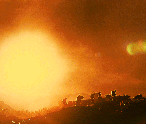 tumblr baafba985936b9b0c16ece64bfc1b0f8 aed86e4d 540.gif