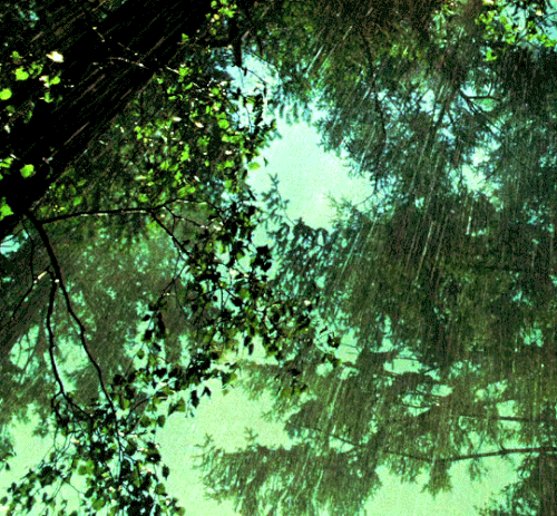 tumblr d784d1040df8fe6bf4017612002938d9 e0452ffe 540.gif