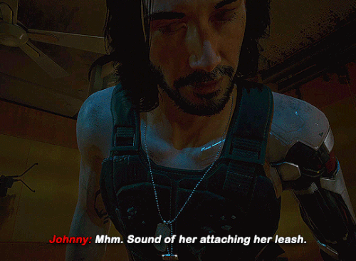 tumblr bccac1968c6f948e0eef5ebea42c7ae9 4b5044e0 540.gif