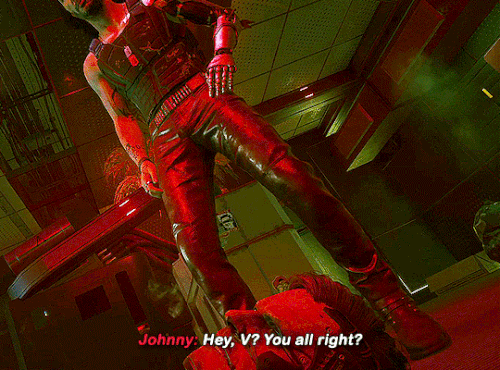 tumblr e9b99c6283cc2ff8c1d22bbb79b44106 94d80352 540.gif