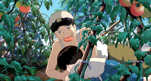 tumblr 8cb87c1e4dde27562d98ba6bb1c97592 44d9c4e6 540.gif