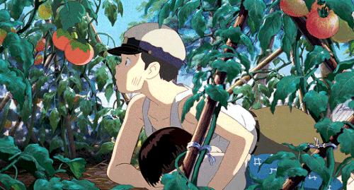tumblr bbd8a33c8681b0a4ee011a836002b430 966ee85a 540.gif