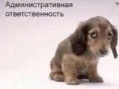 12813a31 9416 462b a9ef b30559e519b6.jpg