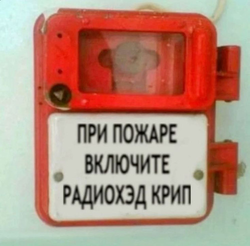 cc9b3d45 934b 477d 8b66 4cbc93a90d63.jpg