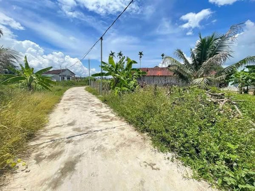 501326377 2141946526269122 1978604380924055208 n.jpg