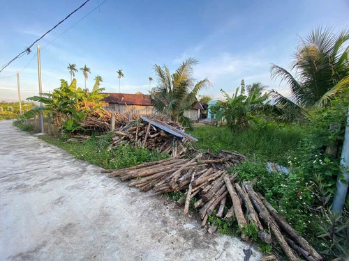 500761750 1260338975879823 2254372109056656733 n.jpg