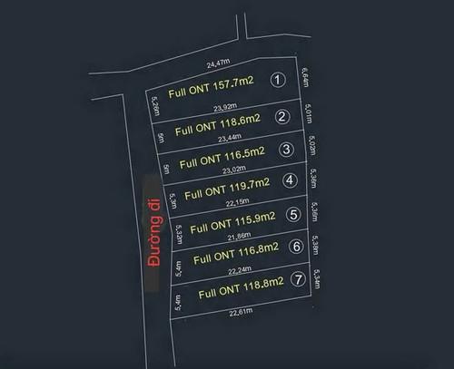 501004958 1042066208036765 7840543569542949395 n.jpg