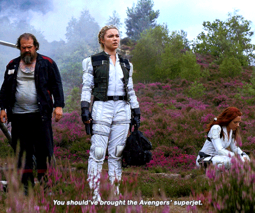 tumblr b745371487cbc032aa37b1e2c7008195 e9293547 540.gif