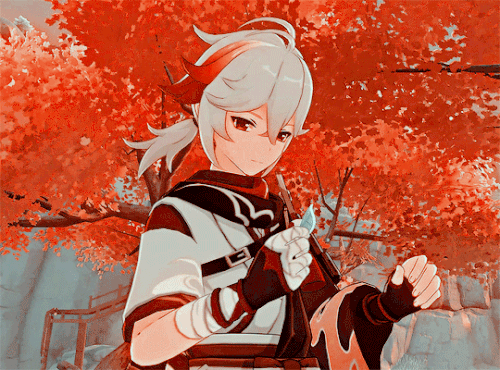 tumblr 074d335e302fd2b00867b8af6b5f6f28 819d4c14 540.gif