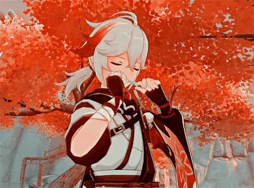 tumblr 25444ac8ed069849afada2534601ef78 bdca4449 540.gif