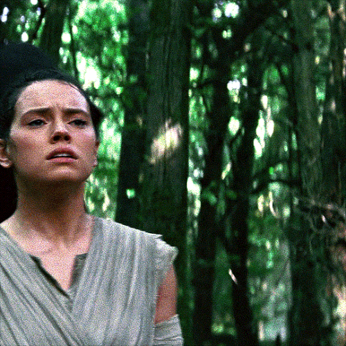 tumblr 30a009f8d35a55556b7ff516d8ef2f24 fc941de0 540.gif