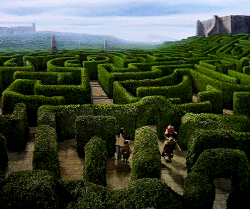 tumblr 365a65f8945ec61f7af02237a6c5c67c faed6be9 540.gif