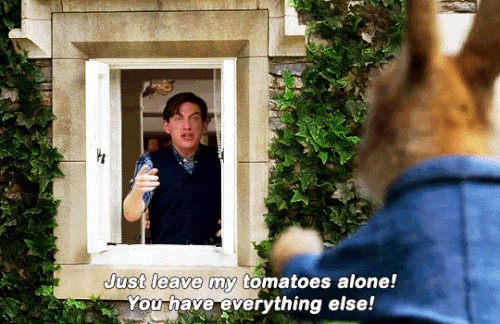 tumblr f46f1519fddaf5fd4428c25c2b602216 59051077 540.gif