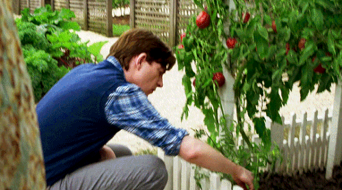 tumblr 4951db36942dfb5af562baa957830a2e bf6ad2f7 540.gif